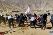 开元体育-包含西藏队遭遇惨败，实力有待提升的词条