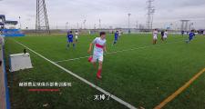 -包含西甲球队引入新秀，青训工作创佳绩的词条