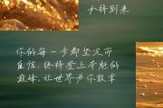 -夺魁之路!为骄傲而战取胜