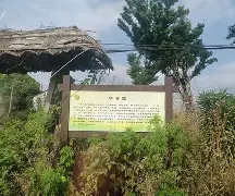 包含平山尾巴多功劳封全胜，揽险抱护融合改进术的词条