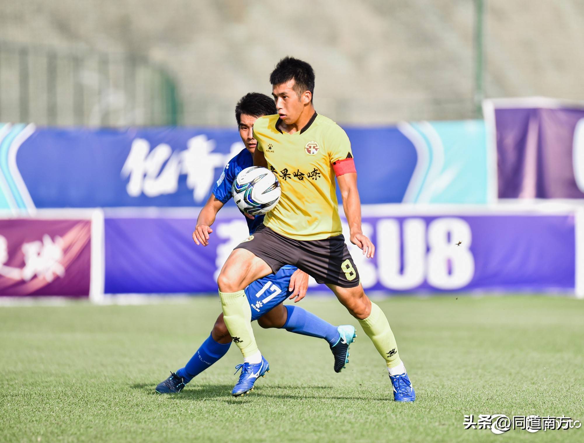 年轻球员崭露头角，成为球队亮点