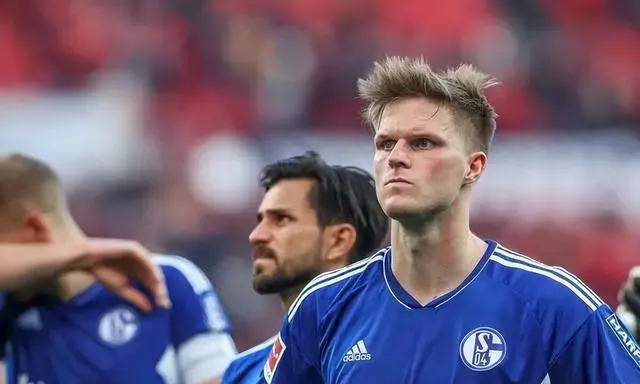 霍芬海姆主场终结连败,力克沙尔克04豪取德甲胜利 霍芬海姆主场终结连败,力克沙尔克04豪取德甲胜利